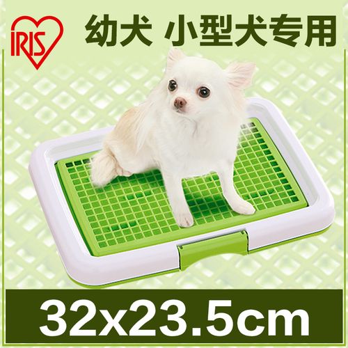 一折狗厕所 泰迪公犬的卫生间用具使用指南